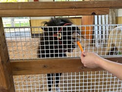 小岩井農場まきば園に投稿された画像（2024/10/26）