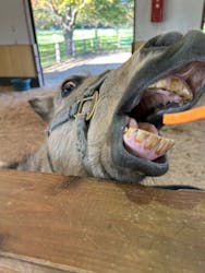 小岩井農場まきば園に投稿された画像（2024/10/26）