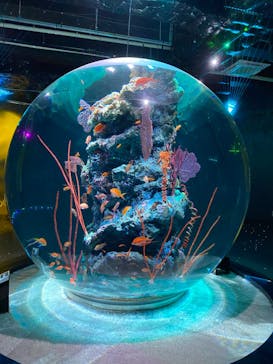 AQUARIUM × ART　atoaに投稿された画像（2024/10/26）