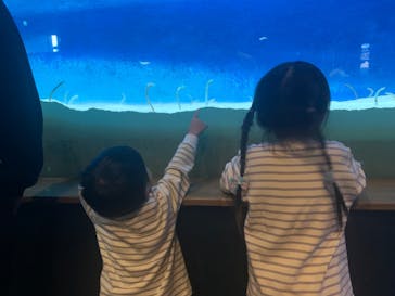 大分マリーンパレス水族館 「うみたまご」に投稿された画像（2024/10/26）