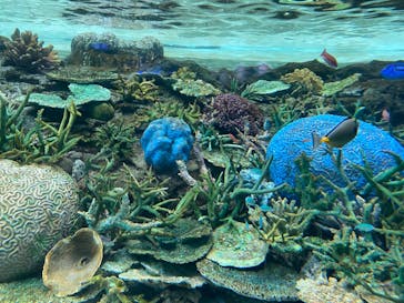 名古屋港水族館に投稿された画像（2024/10/26）