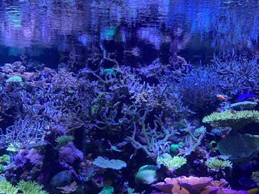 名古屋港水族館に投稿された画像（2024/10/26）