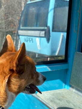 安比高原に投稿された画像（2024/10/26）