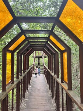 万博記念公園に投稿された画像（2024/10/26）