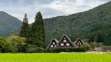 ホワイトリングに投稿された画像（2024/10/26）