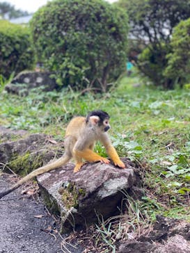 伊豆シャボテン動物公園に投稿された画像（2024/10/26）