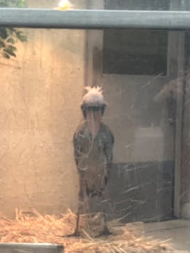 恩賜上野動物園に投稿された画像（2024/10/26）