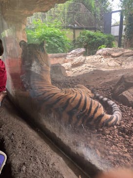 恩賜上野動物園に投稿された画像（2024/10/26）