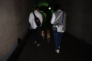 清津峡渓谷トンネルに投稿された画像（2024/10/26）