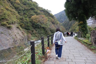 清津峡渓谷トンネルに投稿された画像（2024/10/26）