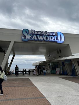 鴨川シーワールドに投稿された画像（2024/10/26）