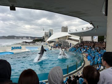鴨川シーワールドに投稿された画像（2024/10/26）