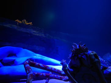 竹島水族館に投稿された画像（2024/10/26）