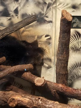 名古屋市東山動植物園に投稿された画像（2024/10/26）