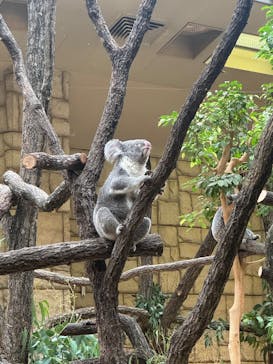 名古屋市東山動植物園に投稿された画像（2024/10/26）