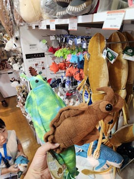 国立科学博物館に投稿された画像（2024/10/26）