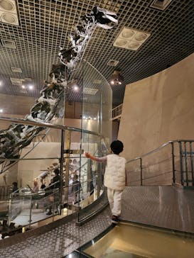 国立科学博物館に投稿された画像（2024/10/26）