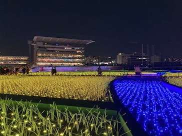 東京メガイルミに投稿された画像（2024/10/26）