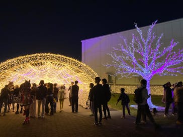 東京メガイルミに投稿された画像（2024/10/26）