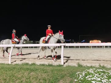 東京メガイルミに投稿された画像（2024/10/26）