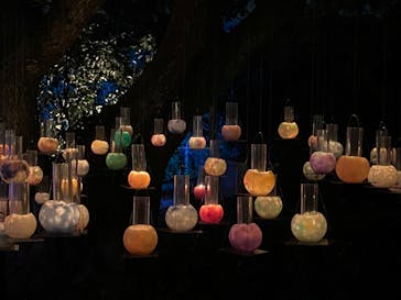 江の島1dayに投稿された画像（2024/10/26）