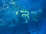 アクアワールド茨城県大洗水族館に投稿された画像（2024/10/26）