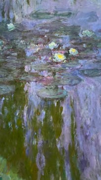 モネ 睡蓮のとき（国立西洋美術館）に投稿された画像（2024/10/26）
