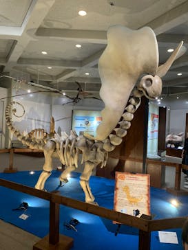 岐阜県博物館に投稿された画像（2024/10/26）