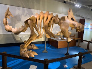 岐阜県博物館に投稿された画像（2024/10/26）