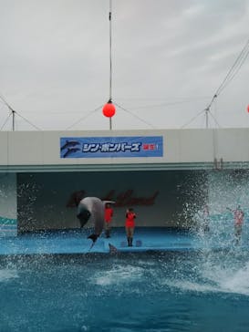 南知多ビーチランド＆南知多おもちゃ王国に投稿された画像（2024/10/26）