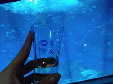 アクアワールド茨城県大洗水族館に投稿された画像（2024/10/26）