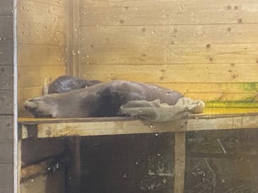 アクアワールド茨城県大洗水族館に投稿された画像（2024/10/26）