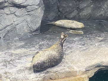 アクアワールド茨城県大洗水族館に投稿された画像（2024/10/26）