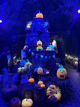 横浜イングリッシュガーデンに投稿された画像（2024/10/26）