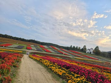 やくらいガーデンに投稿された画像（2024/10/26）