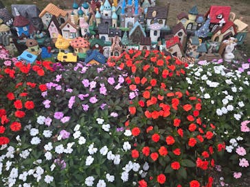 やくらいガーデンに投稿された画像（2024/10/26）