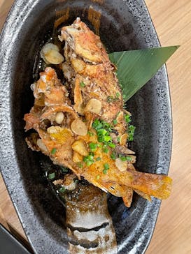 沖縄海うさぎ・海あしびに投稿された画像（2024/10/26）