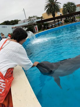 南知多ビーチランド＆南知多おもちゃ王国に投稿された画像（2024/10/26）