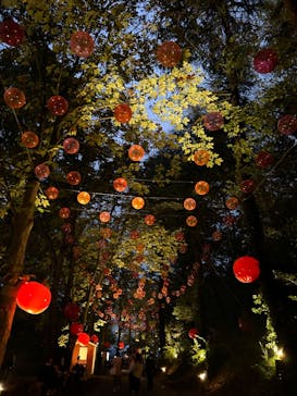 ムーミンバレーパークに投稿された画像（2024/10/26）