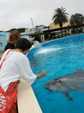 南知多ビーチランド＆南知多おもちゃ王国に投稿された画像（2024/10/26）