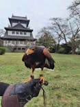 宇都宮動物園に投稿された画像（2024/10/26）