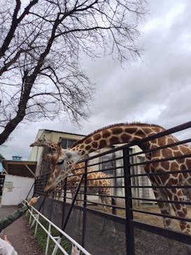 宇都宮動物園に投稿された画像（2024/10/26）
