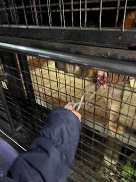 那須サファリパークに投稿された画像（2024/10/26）