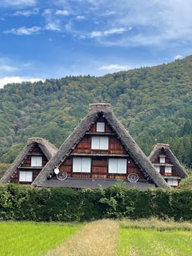 ホワイトリングに投稿された画像（2024/10/26）