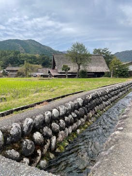 ホワイトリングに投稿された画像（2024/10/26）