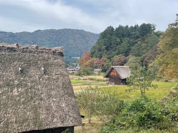 ホワイトリングに投稿された画像（2024/10/26）