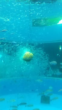 横浜・八景島シーパラダイスに投稿された画像（2024/10/26）