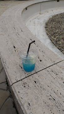 横浜・八景島シーパラダイスに投稿された画像（2024/10/26）