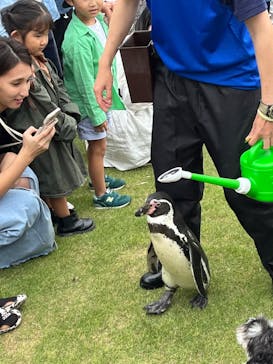 南知多ビーチランド＆南知多おもちゃ王国に投稿された画像（2024/10/26）