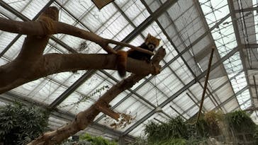 神戸どうぶつ王国に投稿された画像（2024/10/26）